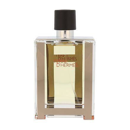 Hermes Terre d´Hermès pánská toaletní voda 100 ml tester pro muže