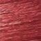 Barva na vlasy Garnier Olia Red Lacquers 60 g 7.25 Ruby Red