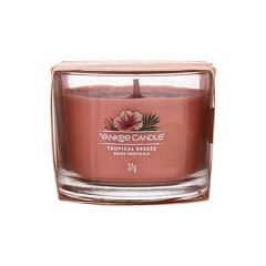 Vonná svíčka Yankee Candle Tropical Breeze 37 g