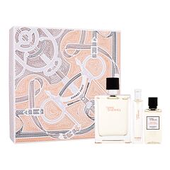 Toaletní voda Hermes Terre d´Hermès 100 ml Kazeta