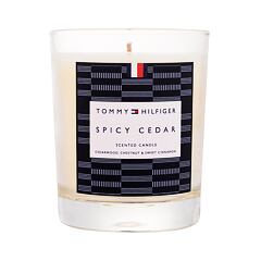 Vonná svíčka Tommy Hilfiger Scented Candle Spicy Cedar 180 g